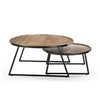 Foundry Nesting Coffee Tables Set of 2