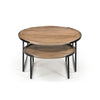 Foundry Nesting Coffee Tables Set of 2