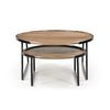Foundry Nesting Coffee Tables Set of 2