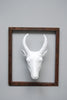 Metal frame with white Resin goat