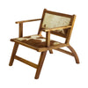 Lela Cowhide Armchair