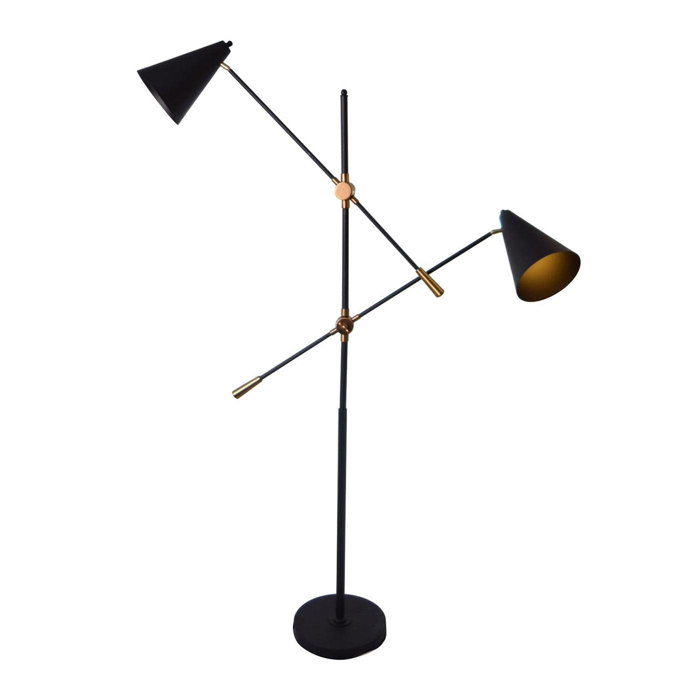 Bois et Cuir's "Hopper" 2-Bulb Floor Lamp